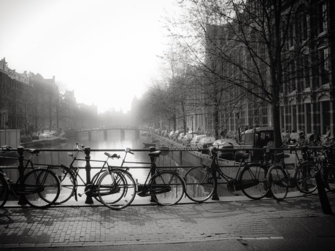 Fotoğraf KorkutGökhan