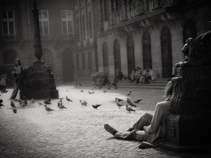 Fotoğraf KorkutGökhan