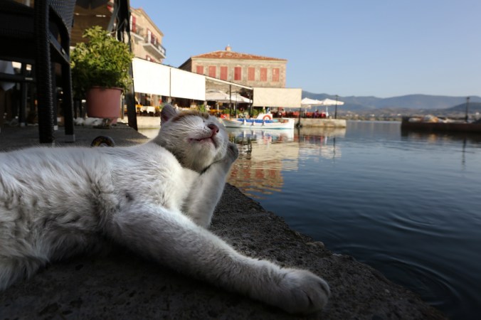 Molivos - Fotoğraf KorkutGökhan