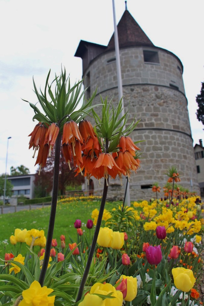 Zug - Fotoğraf PeymanÜnalsın