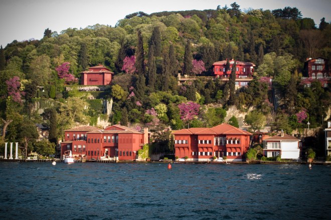 Erguvanlar - Fotoğraf by KorkutGökhan