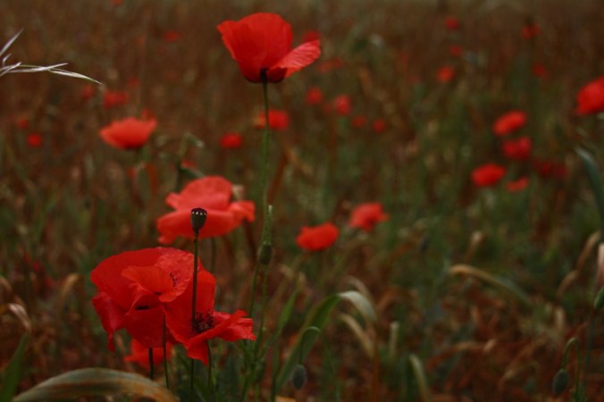 Sansarak Kanyonu - Fotoğraf PeymanÜnalsın