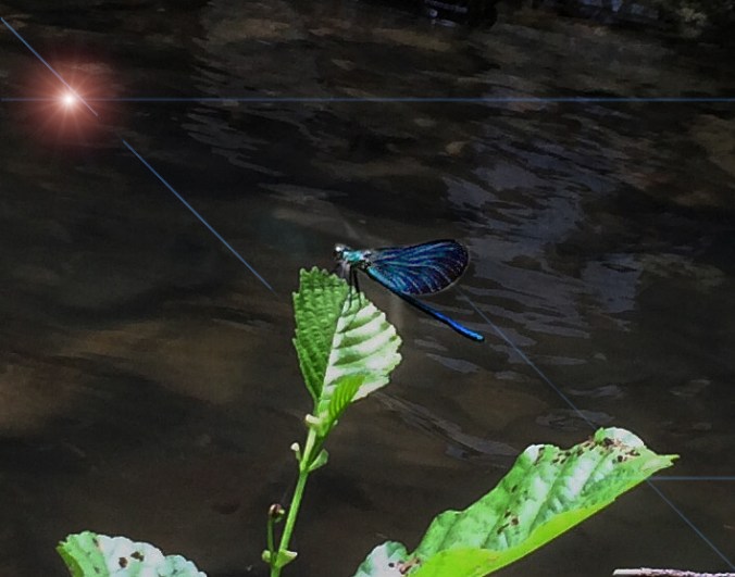 Sansarak Kanyonu - Fotoğraf PeymanÜnalsın