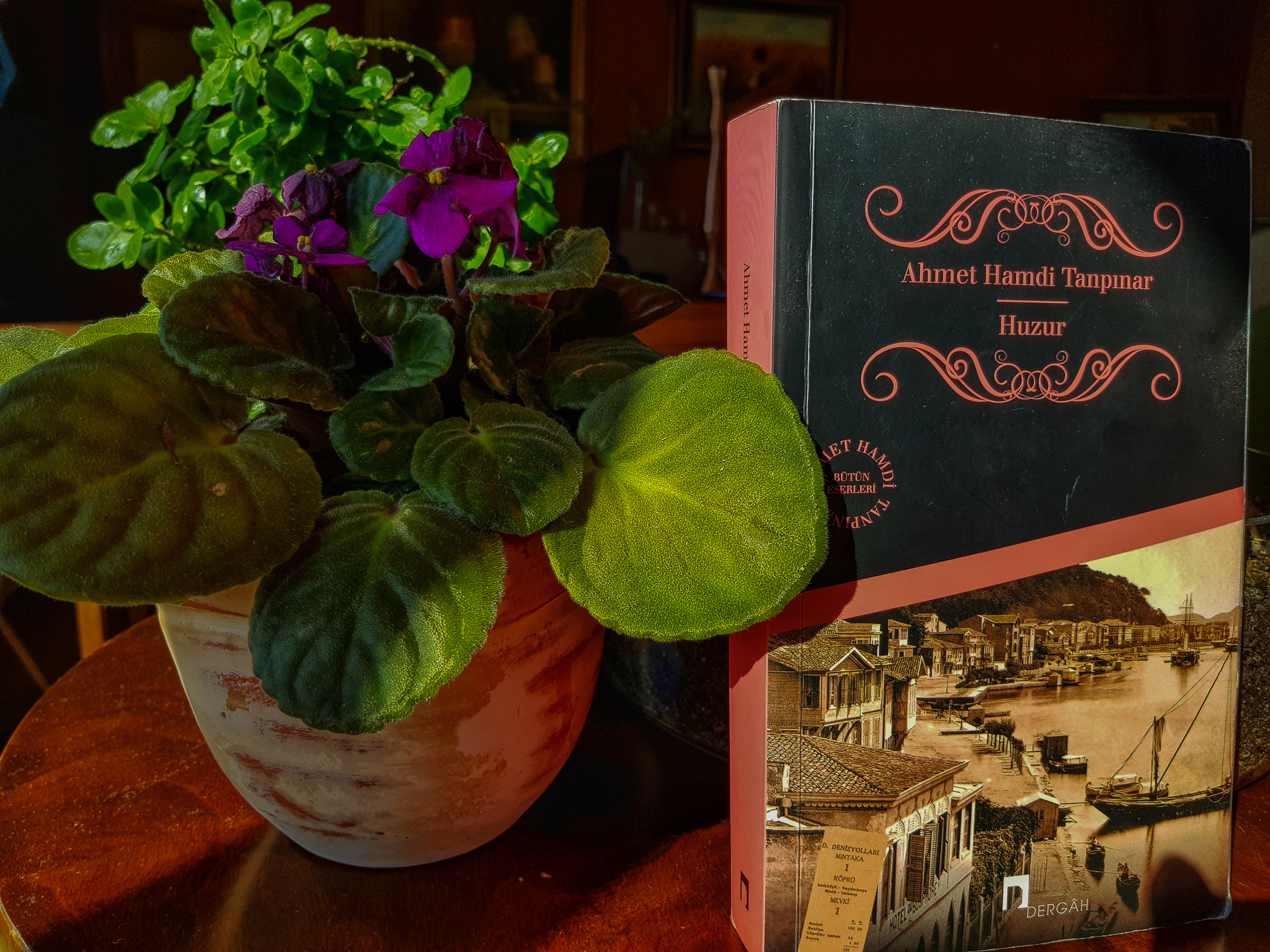 20180512_170203-01-01